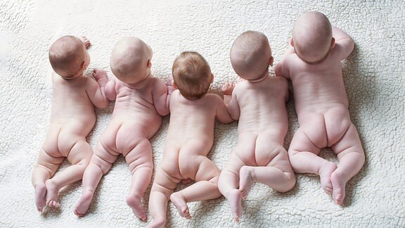 Fünf nackte Babys liegen auf einem Teppich