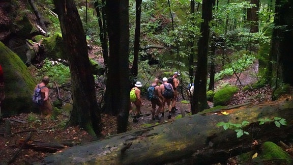 Eine Gruppe nackter Männer läuft, nur mit Rucksäcken, Stufen in einem Wald herab.