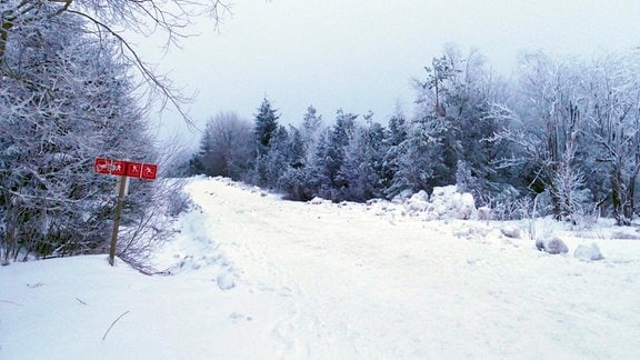 Ein verschneiter Waldweg.
