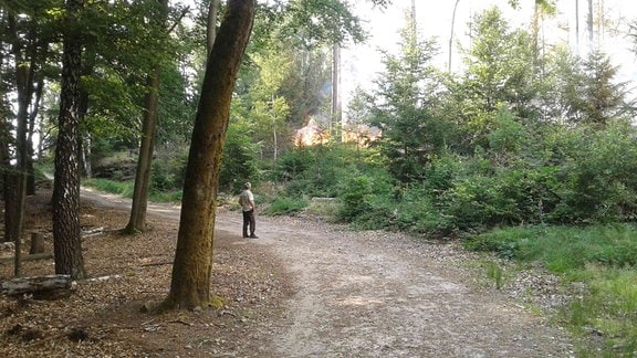 Flammen in grünem Waldstück, auf einem Waldweg steh ein Mann