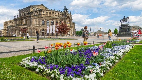 Semper Oper Dresden, davor ein Blumenbeet.