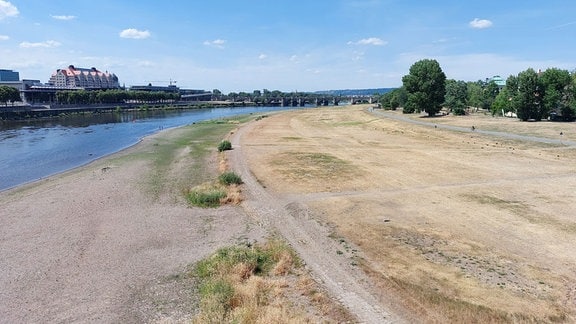 Die Elbe in Dresden.