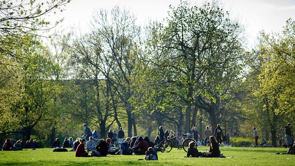 Junge Leute genießen im Alaunpark in Dresden (Sachsen) die letzten Sonnenstrahlen des Tages