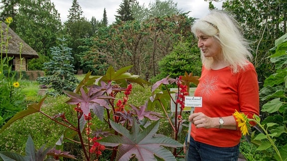 Die wissenschaftliche Leiterin des Botanischen Gartens steht an einem Wunderbaum.