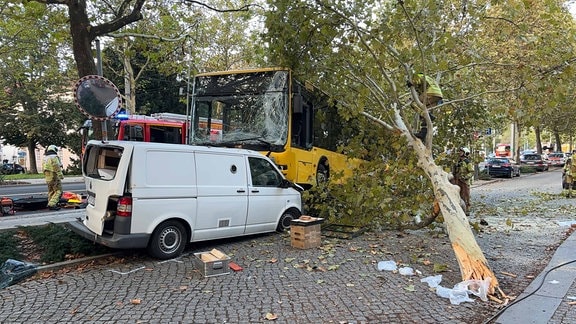 Busunfall in Dresden