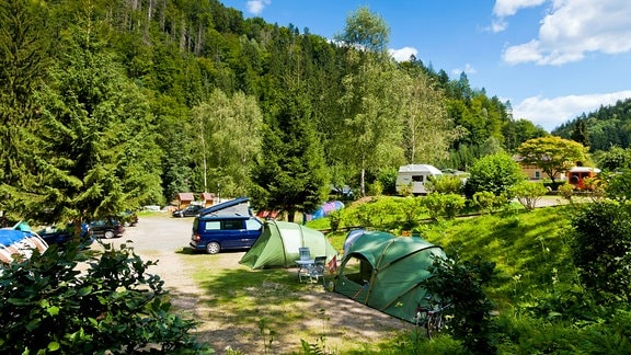 Campingplatz im wildromantischem Kirnitzschtal gelegen. 