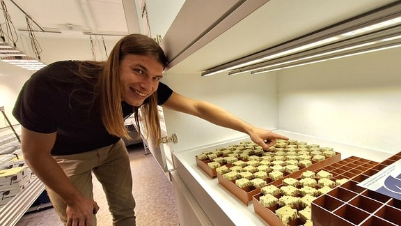 Ein junger Mann beugt sich in eine Art Schrank und zeigt auf Pflanzschalen, in denen künftig Stecklinge für Cannabis wachsen könnten.