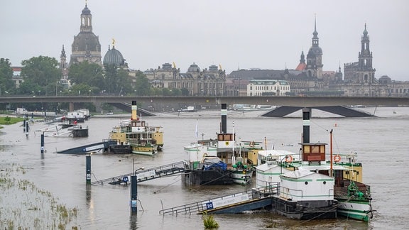 Die Anleger für Schiffe der Sächsischen Dampfschifffahrt sind vom Hochwasser der Elbe umspült, im Hintergrund ist die Altstadtkulisse und die teileingestürzte Carolabrücke zu sehen.