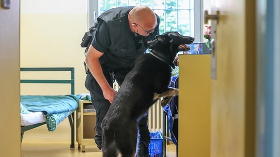 Ein Justizbeamter des sogenannten besonderen Sicherheits- und Revisionsdienstes (BSRD) durchsucht mit einem Spürhund in einem Revisionseinsatz einen Haftraum in der Jugendanstalt (JA) Raßnitz