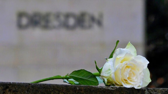 Eine weiße Rose als Symbol der Erinnerung liegt vor der Stele "Dresden" während einer Kranzniederlegung auf dem Heidefriedhof.