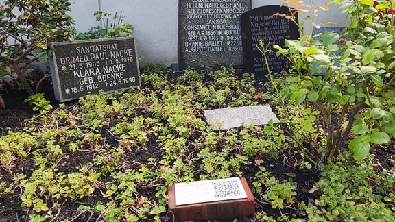 Ein mit eingen Pflanzen überwuchertes Grab mit drei Grabsteinen. Vor den Grabsteinen befindet sich ein Pflasterstein mit einer Plakette, auf dem ein QR-Code steht.