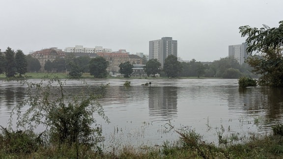 Hochwasser an der Elbe in Dresden. 