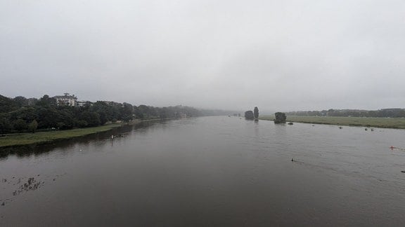 Hochwasser an der Elbe in Dresden. 