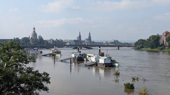 Hochwasser der Elbe in Dresden an der Albertbrücke. 