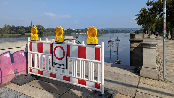 Hochwasser der Elbe in Dresden an der Albertbrücke. 