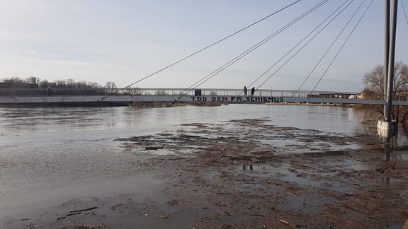 Unter der Molenbrücke in Dresden-Pieschen treibt Holz und Müll auf der Elbe.