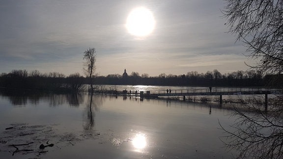 Der Elberadweg bei Dresden-Pieschen steht an vielen Stelle unter Wasser.