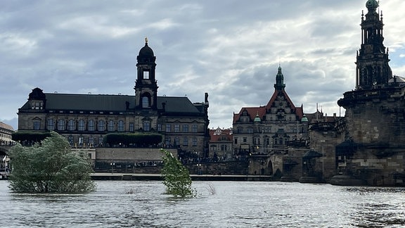 Hochwasser in Dresden - Blick auf das Elbufer der Altstadt