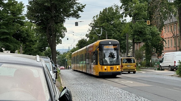 Eine Straßenbahn fährt über die Königsbrücker Straße in Dresden.