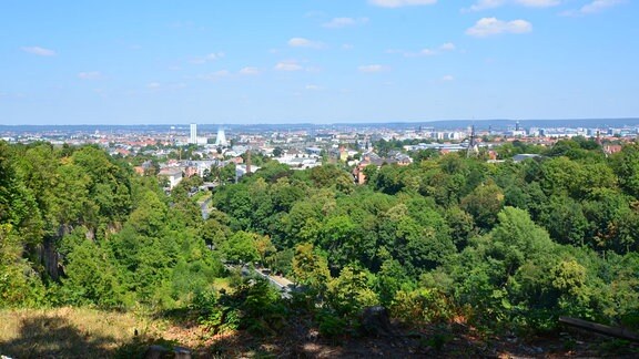 Panorama-Blick über einen Teil der Stadt Dresden