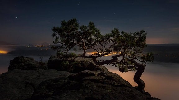 Ausblick vom Lilienstein auf das Elbtal, Nationalpark Sächsische Schweiz