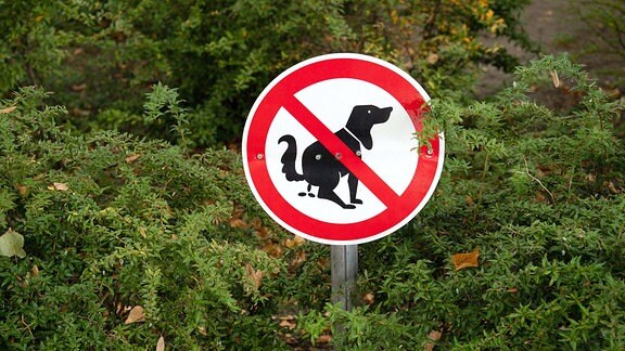 Auf einem Schild ist ein Hund durchgestrichen abgebildet, der einen Haufen macht