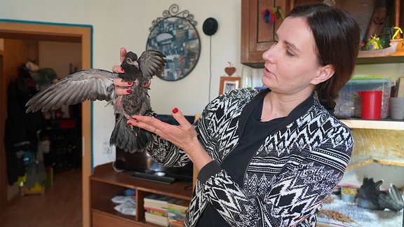 Flatternde Taube in der Hand einer Frau