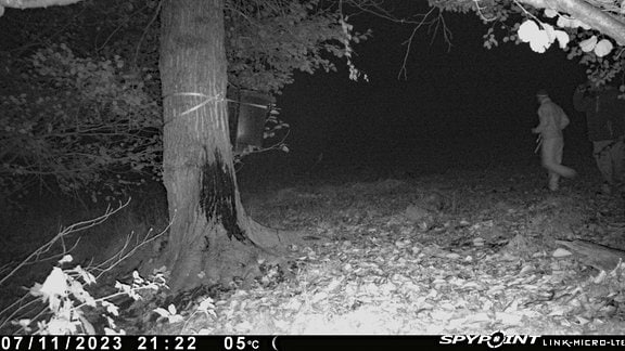 Eine Wildkamera in einem Wald bei Dresden hat zwei Wilderer auf frischer Tat ertappt.