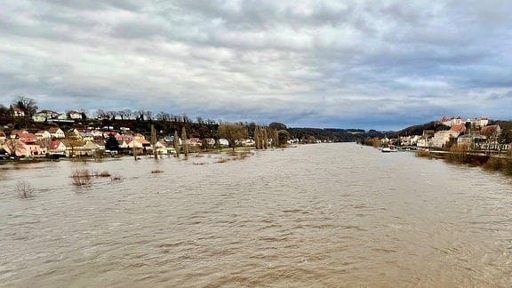 Die Elbe führt bei Pirna Hochwasser.