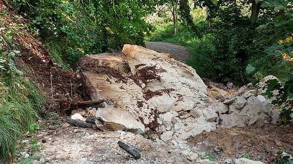 Von einem Hang sind Felsen und Steine auf einen Weg gestürzt. Der Weg sieht unpassierbar aus und befindet sich in der Sächsischen Schweiz. 