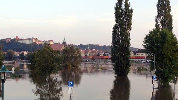 Hochwasser der Elbe am 20.09.2024