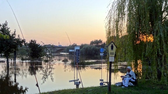 Hochwasser der Elbe am 20.09.2024