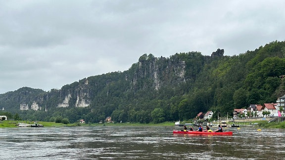 Studierende der TU Dresden paddeln im Kanu auf der Elbe.