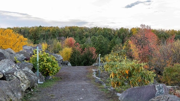 Steinhügel der Appalachen im Forstbotanischen Garten in Tharandt