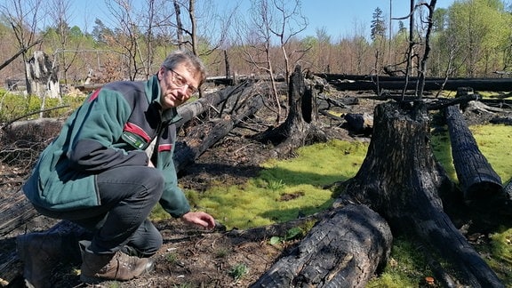 Nationalpark-Sprecher Hanspeter Mayr auf Waldbrandfläche von 2022