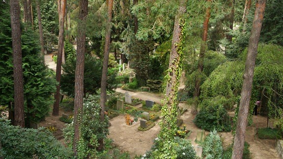 Der Waldfriedhof Weißer Hirsch, am Rand der Dresdner Heide