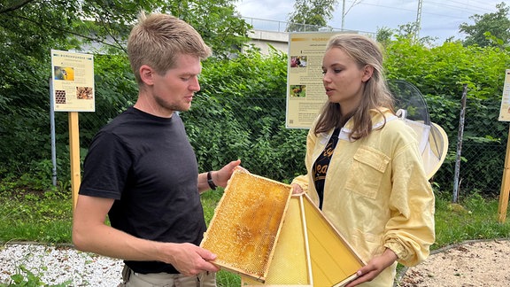 Ein junger Mann und eine junge Frau halten drei Bienenwaben in ihren Händen.