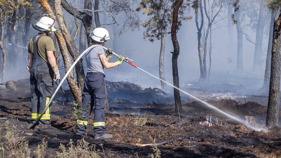 Feuerwehrmänner löschen in einem Wald des Naturschutzgebietes Gohrischheide einen Waldbrand