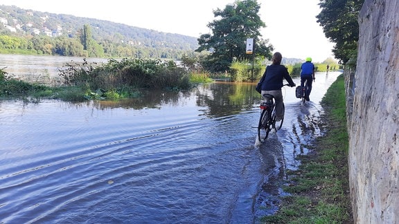 Die Elbe in Dresden hat an einigen Stellen auch den Elberadweg bereits überflutet. 