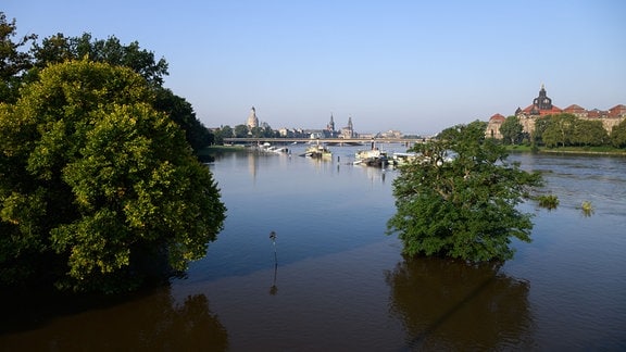 Die Anleger für die Schiffe der Sächsischen Dampfschifffahrt sind vom Hochwasser der Elbe umspült, im Hintergrund ist die Altstadtkulisse und die teilweise eingestürzte Carolabrücke zu sehen.