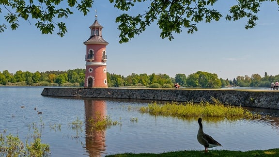 Leuchtturm bei Schloss Moritzburg
