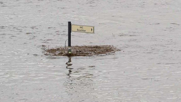 Aus einem Fluss schaut ein Schild mit der Aufschrift WC Beachbar heraus