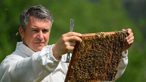 Ein Imker kontrolliert einen Bienenkasten