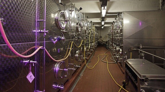 Weinkeller mit Stahltanks, 2012