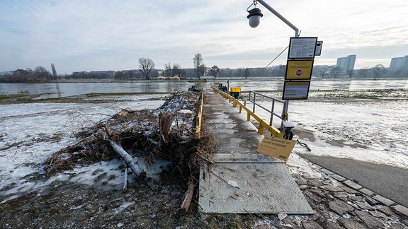 Treibgut ist nach dem letzten Hochwasser am Anleger der Elbfähre in Dresden festgefroren