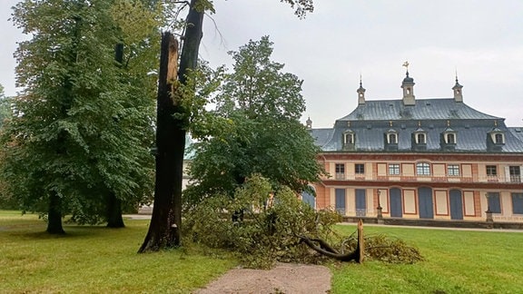 Nach Unwettern in Sachsen meldet der Schlösserbetrieb in Pillnitz Unwetterschäden wie Astabbrüche an Bäumen.