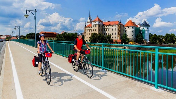 Radfahrer auf dem Elberadweg in Torgau
