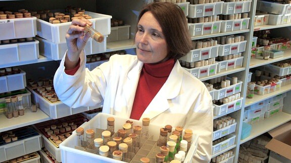 Biologin Suzanne Eaton (USA) schaut auf ein Röhrchen im Labor.
