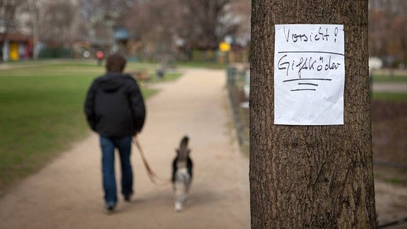 Hundehasser verteilt Giftköder in mehreren Berliner Bezirken. Nachdem von Unbekannten in verschiedenen Berliner Bezirken auf Straßen, Plätzen und Parkanlagen Giftköder ausgelegt wurden, warnen Hundehalter andere mit Plakaten.