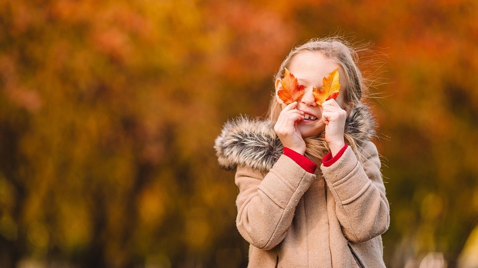 Herbstferien in Sachsen: Freizeittipps und Ausflugsziele  MDR.DE